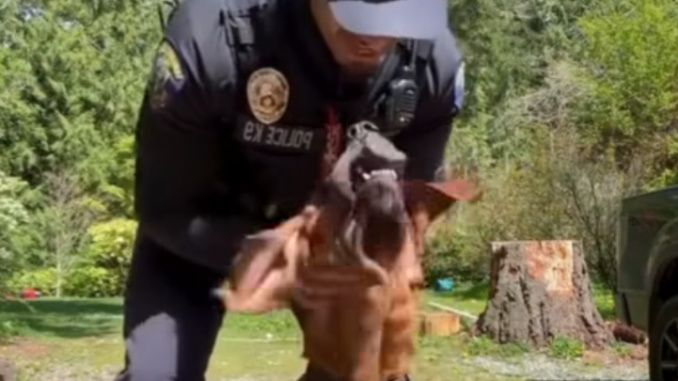 officer